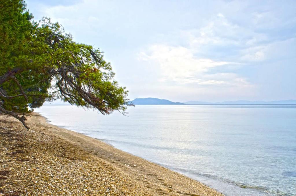 Elia Apartments Sithonia Dış mekan fotoğraf