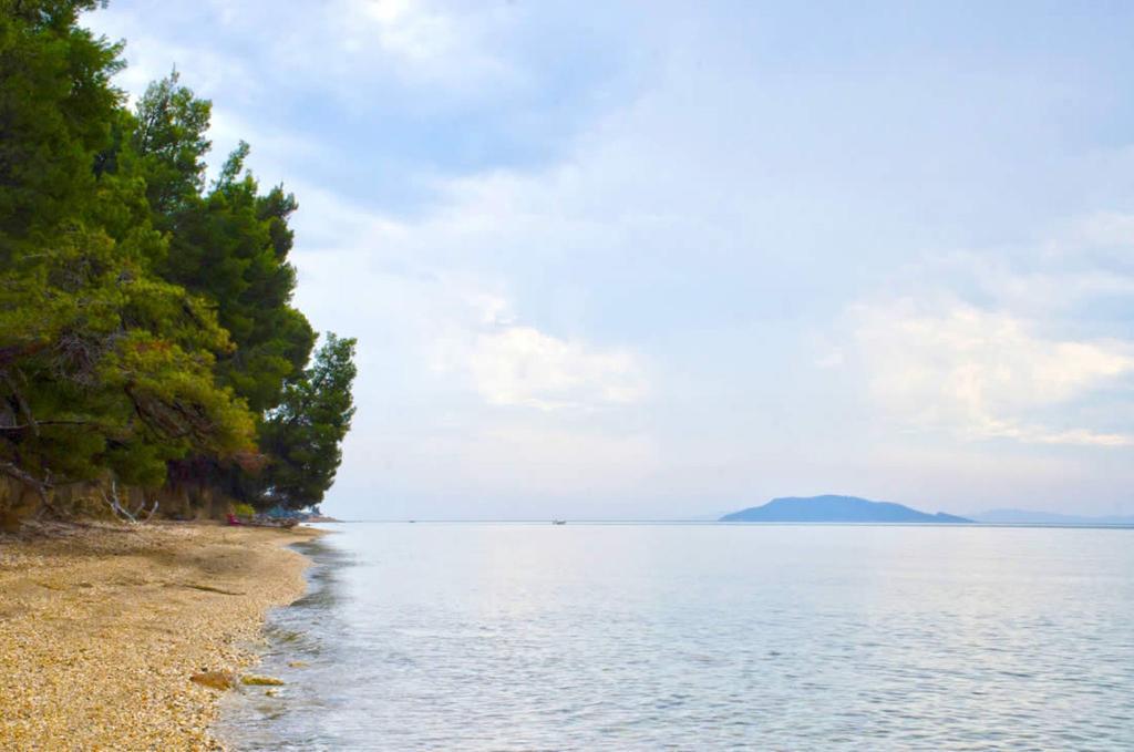 Elia Apartments Sithonia Dış mekan fotoğraf
