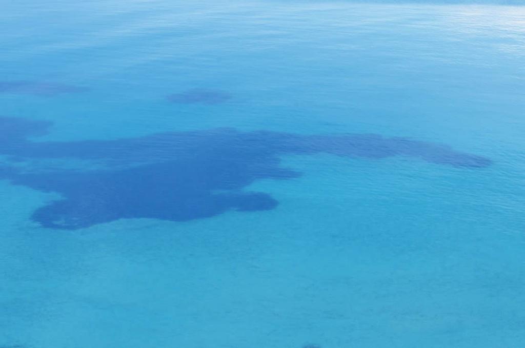 Elia Apartments Sithonia Dış mekan fotoğraf